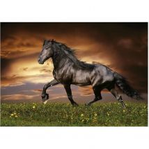 Cheval Au Trot - Puzzle De 1000 Pièces - Educa