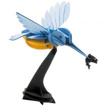 Maquette 3d En Papier Martin-pêcheur - Fridolin
