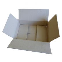 Carton D'Emballage 31 X 21 X 7,5 Cm - Raja