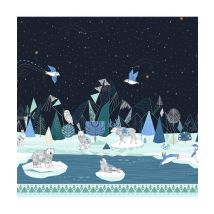 Tissu Coton Dashwood Nuit De Noël Arcticink Vendu Au Mètre