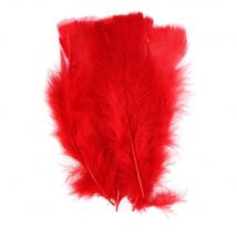 Plumes De Dinde 12/18 Cm 25g Rouge - Sodertex