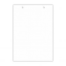 Bloc De 30 Fiches Bristol 148x210 Perforées Uni Blanc