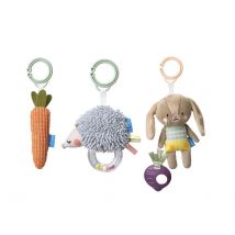 Ensemble De Jouets D Activite - Taf Toys