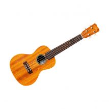 20cm Concert Cordoba