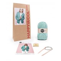 Kit Tricot Veste Débutant Gaia Celadon 42/44 - Pingouin