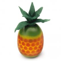 Ananas - Erzi