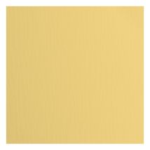 Papier Cartonné Texturé Florence - Corn - 20 Feuilles - 30,5 X 30,5 Cm - 216 G/m² Scrapbooking