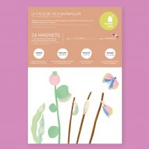 Jeu Magnétique Cycle De Vie Du Papillon - La cabane à rêve