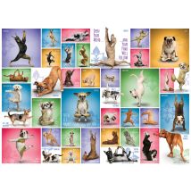 Puzzle 1000 Pièces - Yoga Dogs - Eurographics