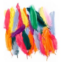 Plume Multicolore 12 À 15 Cm - 350 Pcs - CC Hobby