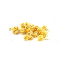 Fleurs Séchées Immortelle - Deco Bougie Savon - Graine Creative