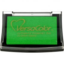 Encreur Versacolor Fresh Green - Tsukineko Scrapbooking