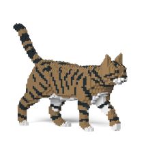 Chat Tigré Marron | Jekca | 14 Ans Et + - Jekca