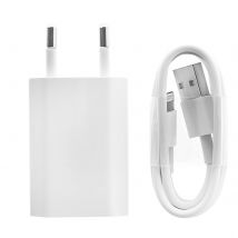 Chargeur Secteur A1400 + Câble Compatible Ipod Ipad Iphone Md818 Original Blanc - Apple