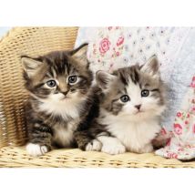 Puzzle 2 Chatons 100 Pieces - Collection Animaux - Nathan - 86766 - Nathan