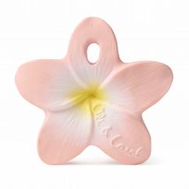 Mini Anneau De Dentition Fleur - Oli & Carol