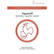Bloc Aquarelle Édition Anniversaire 425g/m2 15feuilles 30x40cm - Hahnemühle