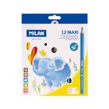 Boîte 12 Crayons De Couleur Maxi Hexagonaux + Taille-crayons - Milan