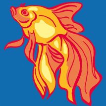 Kit Canevas Soudan Golden Fish 25x25 Cm - LUC