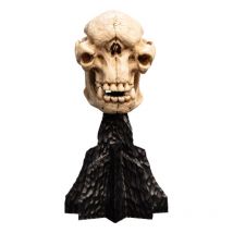 Le Seigneur Des Anneaux - Statuette Skull Of A Cave Troll 21 Cm - Weta Workshop