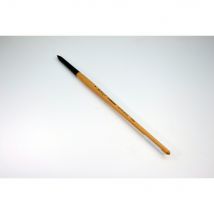 Pinceau Bipointe Polytip Round (rond) 8 - Catalyst