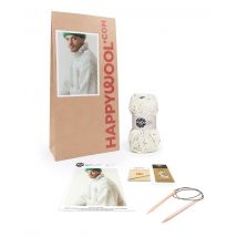 Kit Tricot Pull Homme Laine Gaby Ecru M - Pingouin