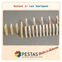 Set De 24 Fiches Pour Modeles Domino Pestas - Pestas