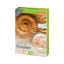 Kit De Fouille De Fossiles - Moses