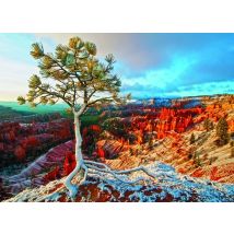 Puzzle 1000 Pièces - Lever De Soleil Hivernal - Eurographics