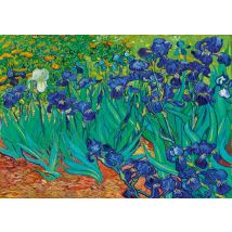 Puzzle 1000 Pièces - Classiquecent Van Gogh - Irises, 1889 - Bluebird Puzzle