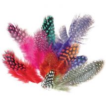 Plumes Pintades Colorées 12,5cm - Graine Creative