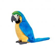 Peluche Ara Bleu 27cm - Anima