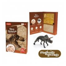 Magnoidz Dino Skeleton Kit Excavation Squellette Dinosaure - Keycraft