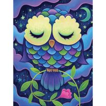 Kit Diamond Painting Midnight Owl 30 X 40 Cm - Megacrea DIY