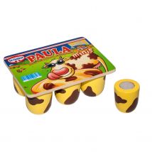 Set Mini Yogourt Paula Dr. Oetker - Tanner
