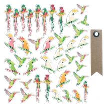 40 Formes Découpées Oiseaux Tropicaux + 20 Étiquettes Kraft Fanion - Youdoit