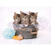 Puzzle 3 Chatons Dans Une Bassine 500 Pieces - Collection Animaux - Clementoni - 35065 - Clementoni