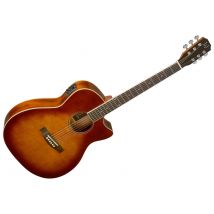 Bes-ace Dcb Auditorium Jn Guitars