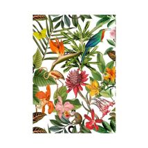 Tissu D'Extérieur Bora Bora Déperlant Borabora Blanc Vendu Au Mètre - Distrifil