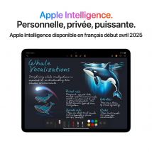 Tablette Apple Ipad Air Wi-fi + Cellular Stockage 256 Go Bleu Ram 8 Go 13 12 Mpx