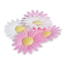 Décors Azymes 36 Marguerites - Scrapcooking