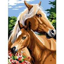Canevas Seg Canevas Mon Poulain 40x50 Cm