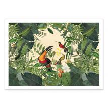 Affiche 50 X 70 Cm - Tropical Jungle Toucan - Andrea Haase - Wall Editions