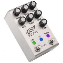 Bloom Midi Stainless Steel Jackson Audio