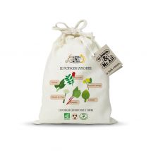 Kit De Graines Bio - Le Potager Immortel - Dr. Jonquille & Mr. Ail