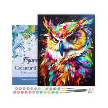 Peinture Par Numéro Figured'art Avec Cadre - Hibou Coloré Abstrait - Kit De Loisir Créatif Diy Numéro D'Art Complet - 40x50cm Toile Tendue Sur