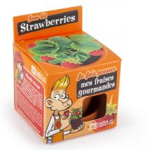 Je Fais Pousser Mon Fraisier - Radis et Capucine