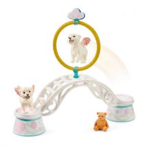 42524 Aire D'Entrainement Des Lionceaux Ailes - Schleich