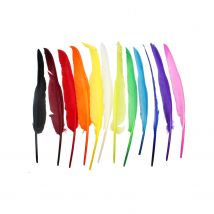 Plumes D'Indiens 35 Cm 12 Pièces - Sodertex