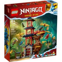Lego 71795 - Temple Des Cœurs D'Énergie Du Dragon - Lego Ninjago - Lego